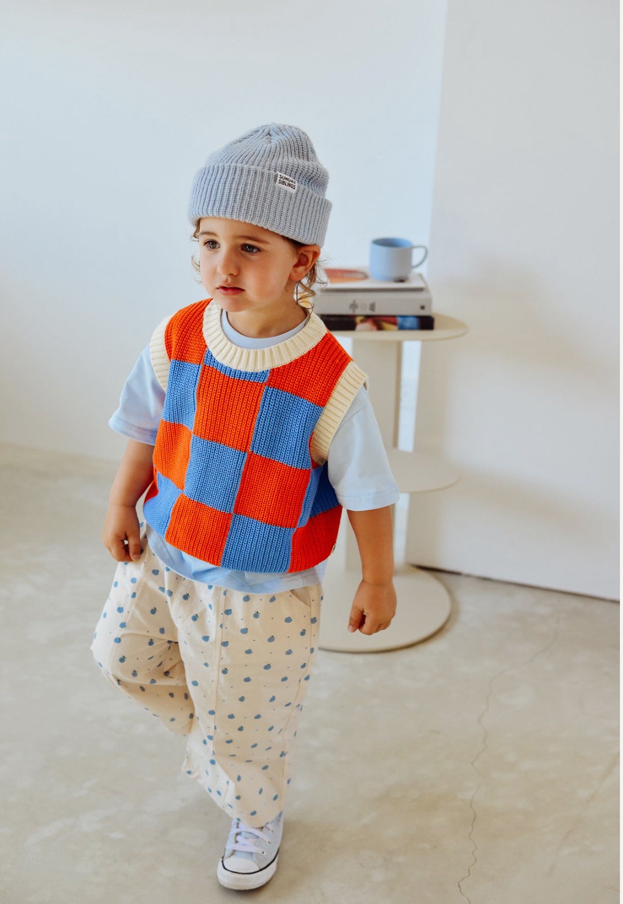 Color Block Checkered Knit Vest