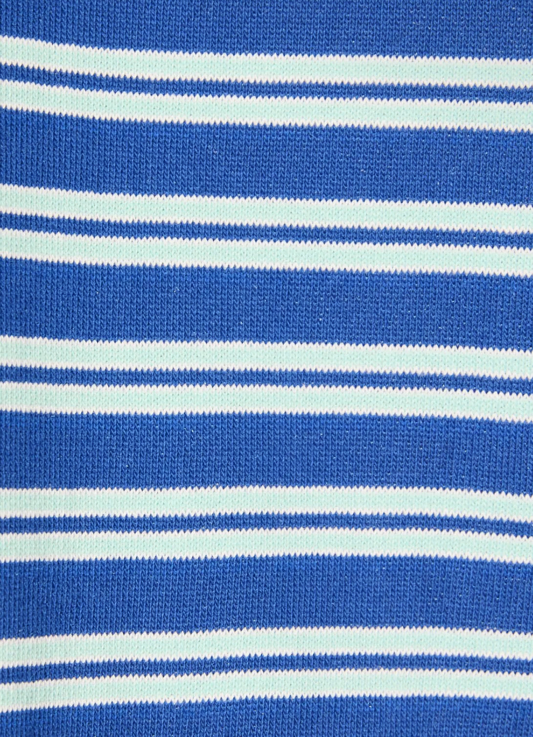 Copenhagen Stripe Shorts